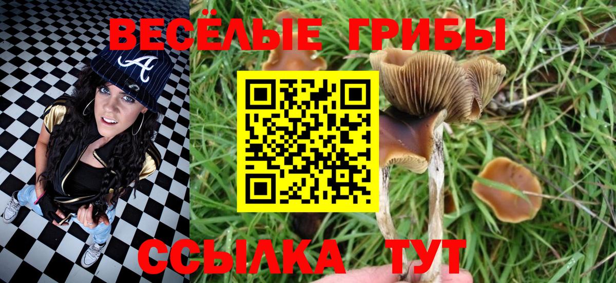 Галлюциногенные грибы GOLDEN TEACHER Ульяновск