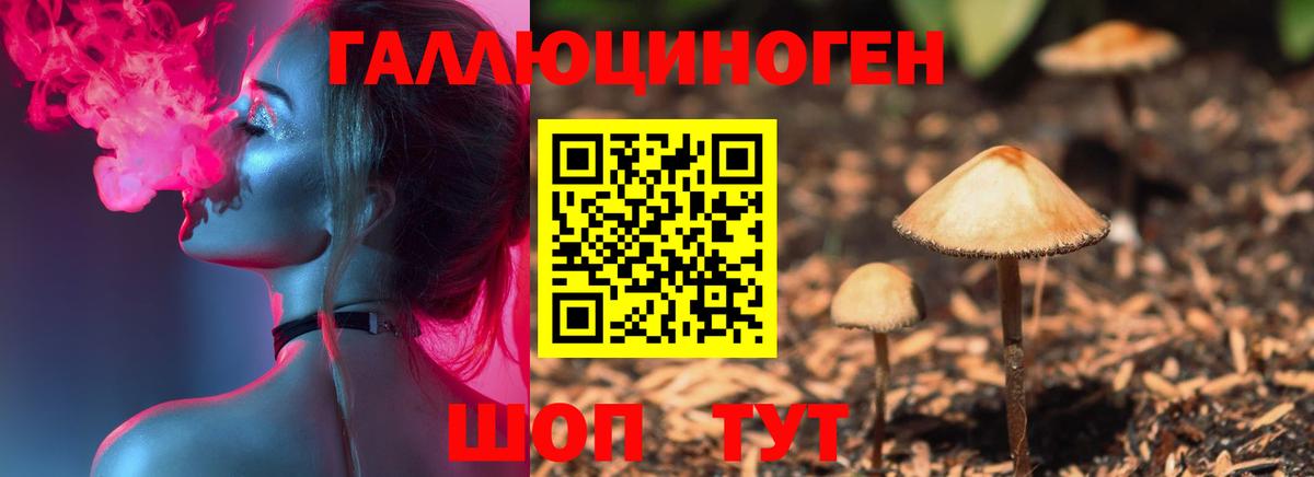 Псилоцибиновые грибы Cubensis  Галлюциногенные грибы GOLDEN TEACHER  Вход с VPN  Ульяновск 